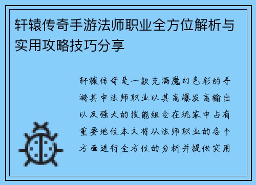 轩辕传奇手游法师职业全方位解析与实用攻略技巧分享
